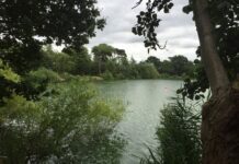History of London’s park lake