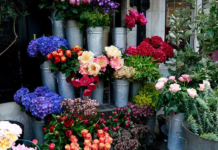 Development of flower business in London