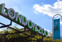 Fascinating history of one of the world’s oldest zoos