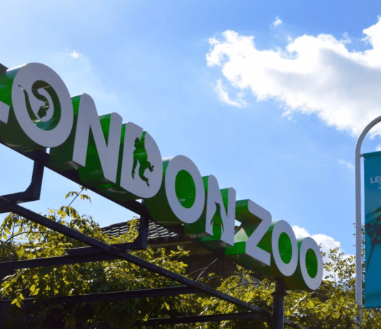 Fascinating history of one of the world’s oldest zoos