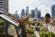 Eco-lifestyle in London