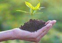 Eco-education in London