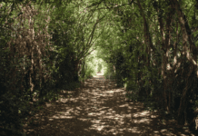 Most interesting locations for walking in London