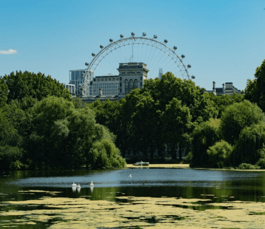 Features of London Climate Action Week