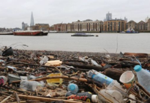 Pollution of the Thames and its impact on the development of London