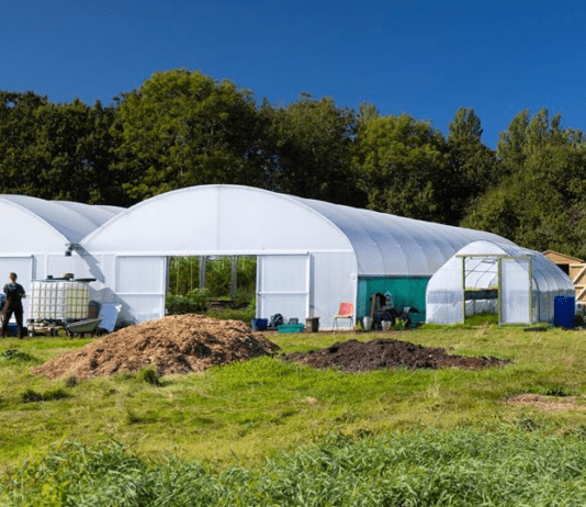 Регенеративные принципы деятельности Sitopia Farm