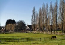 How College Farm Redefined Dairy Production Standards in the UK