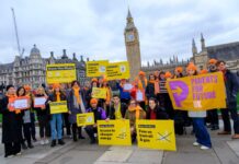 How Green Alliance Shapes UK Environmental Policy