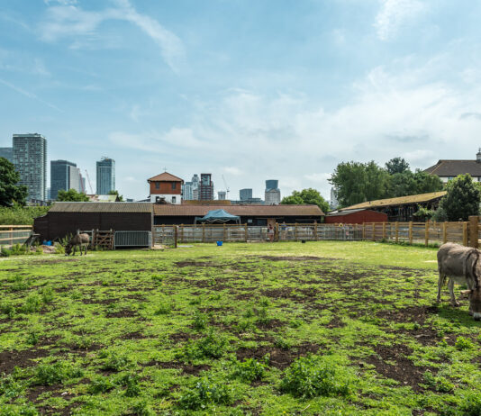 Surrey Docks Farm — зелений простір на місці старих доків