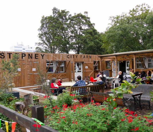 Як Stepney City Farm активізувала аграрні зміни серед руїн