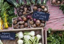 Islington Farmers’ Market: Where London’s Urban Farm Culture Was Born