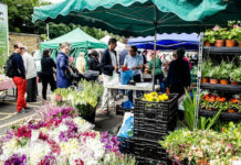 Blackheath Farmers’ Market: Where Cars Make Way for Apples and Cheese