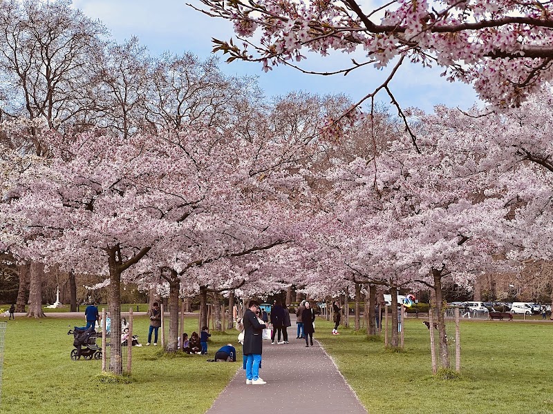 Battersea Park