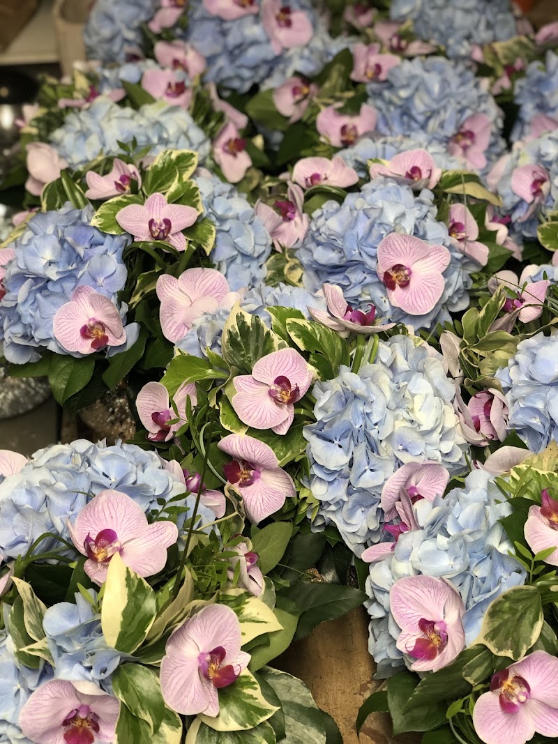 Flowers Inc