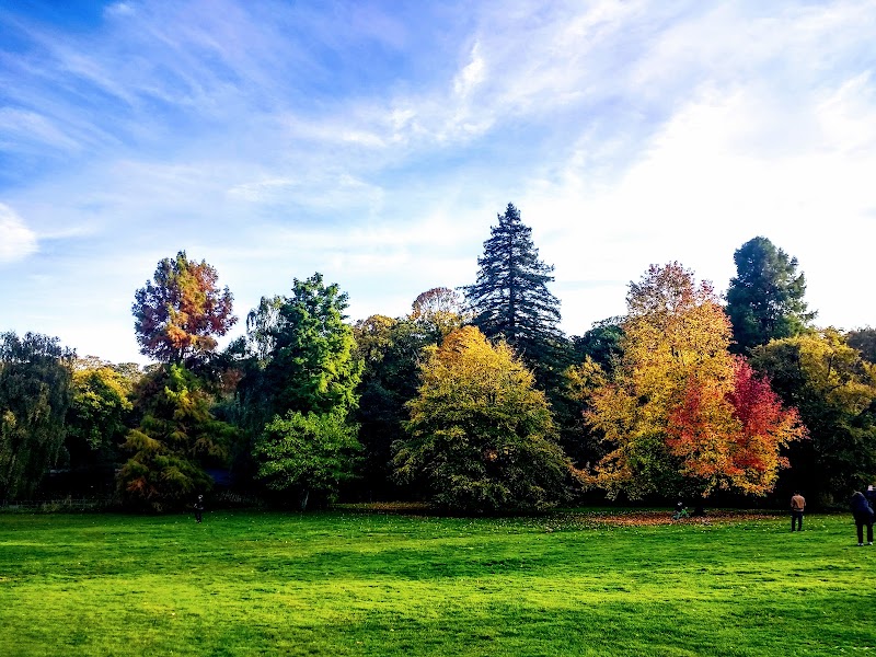 Hampstead Heath