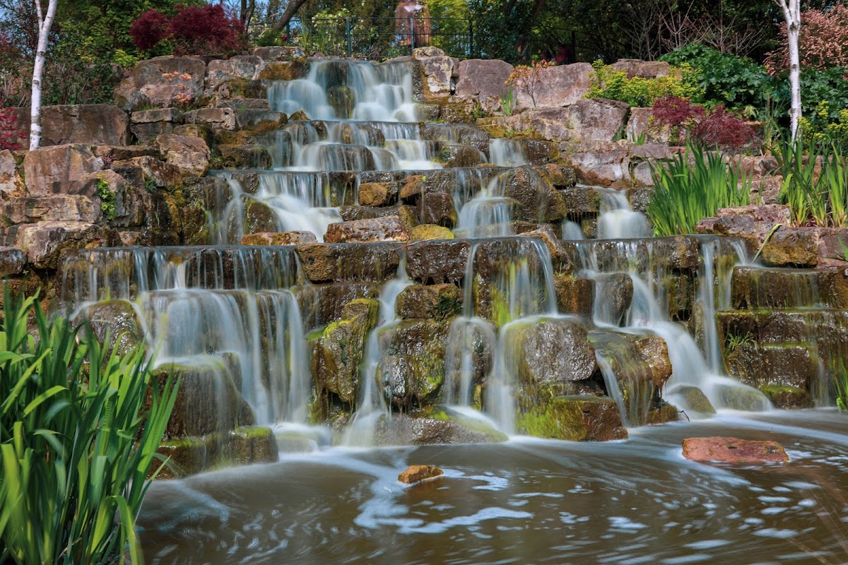 Regent's Park — Park