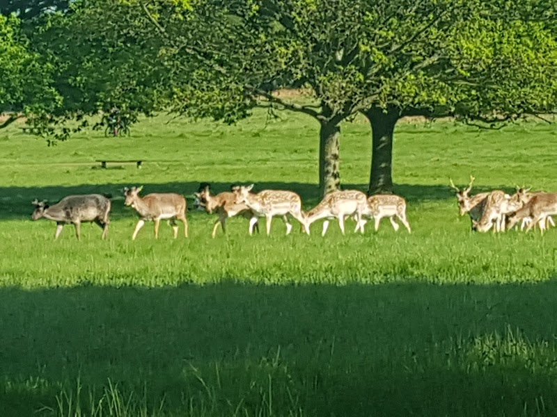 Richmond Park