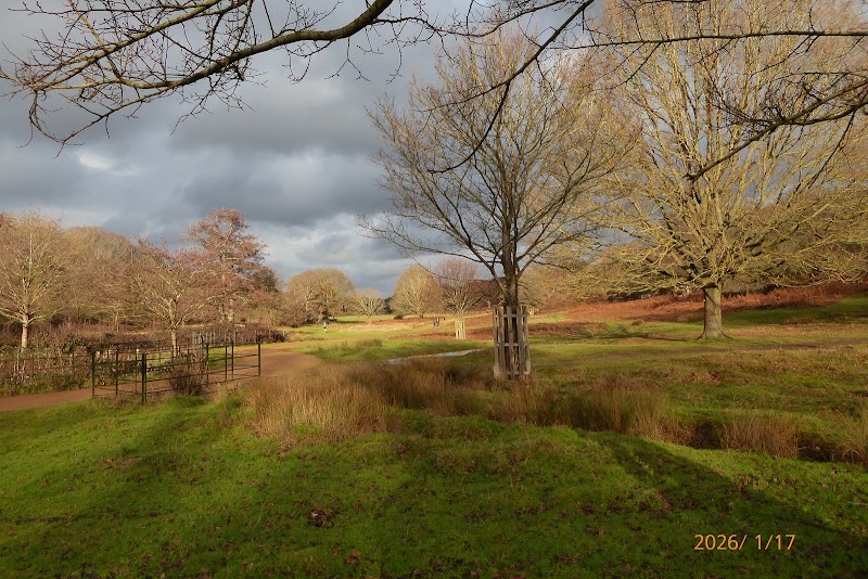 Richmond Park