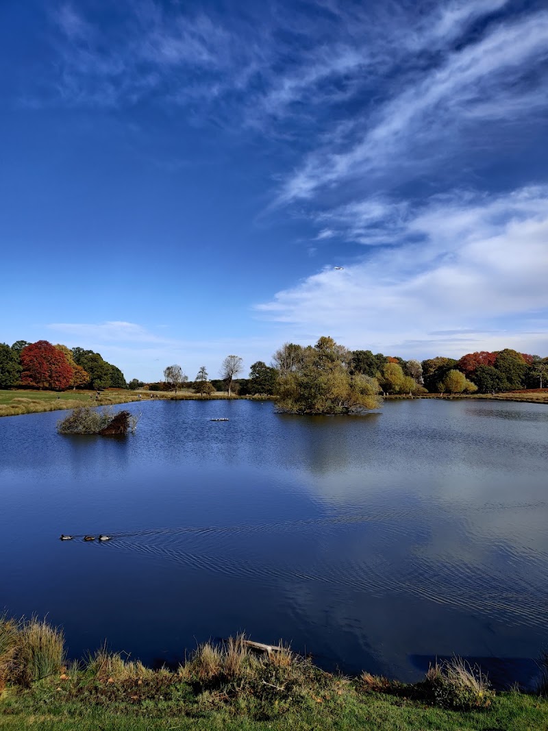 Richmond Park