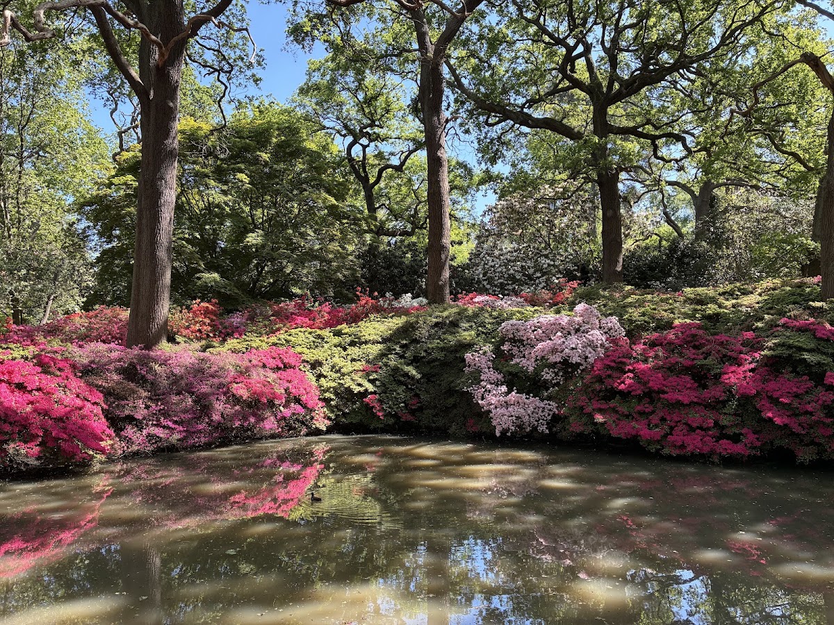 Richmond Park — Park